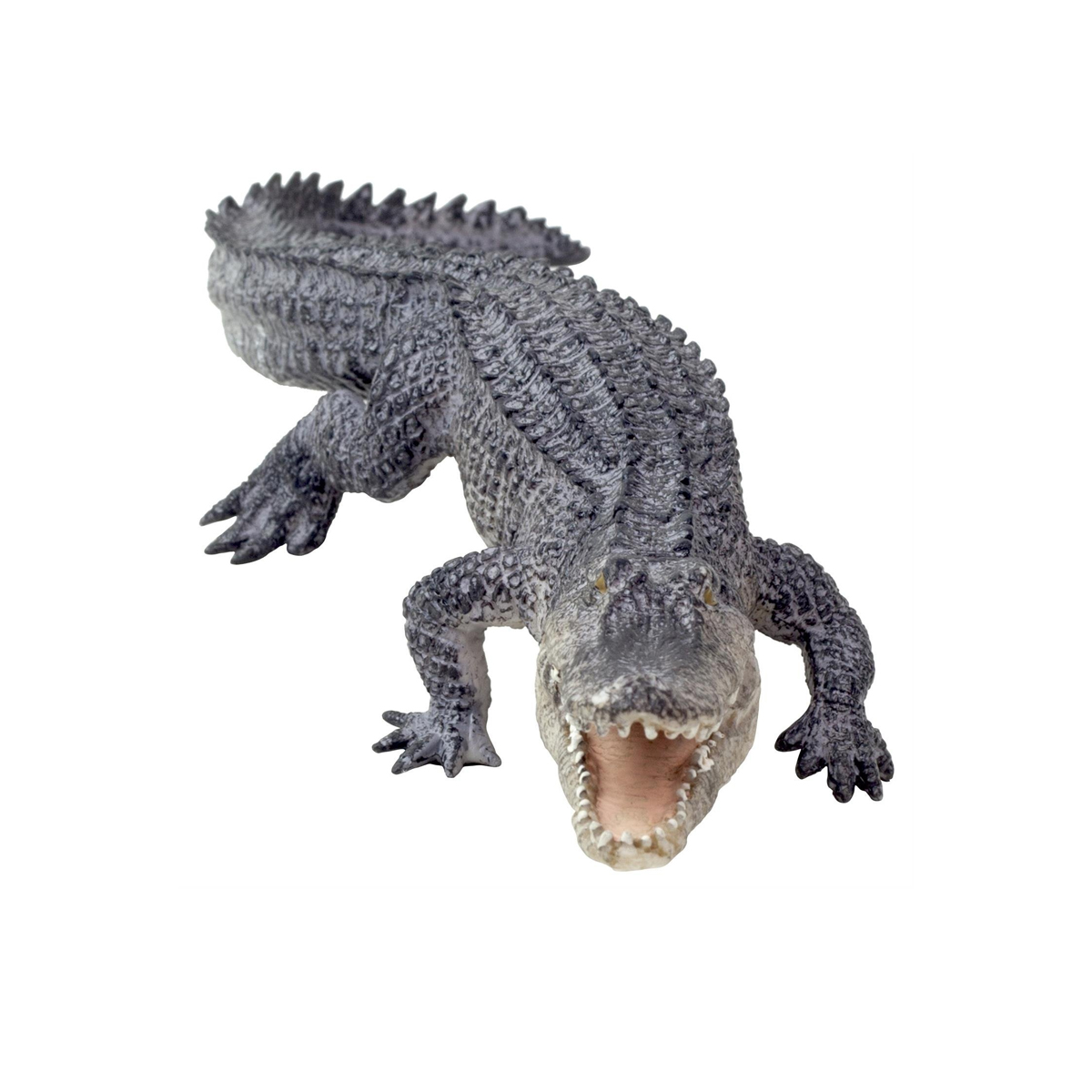 Mojo-Alligator With Moving Jaw  – Online shop of Super chain  stores
